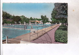 Delcampe - CPA PHOTO MEKNES, LA PISCINE En 1956! - Meknes