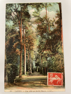 Delcampe - CPA - 65 - TARBES - Une Allée Au Jardin Massey - LL 60 - Tarbes