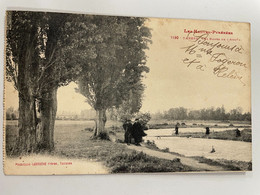 Delcampe - CPA - 65 - TARBES - Les Bords De L'Adour - 1130 - Tarbes