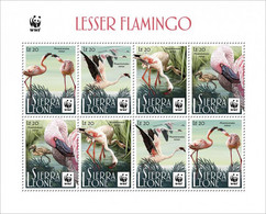 Sierra Leone  2022 WWF Lesser Flamingo. New Currency Reissue. (605f1) OFFICIAL ISSUE - Fenicotteri