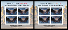 DJIBOUTI 2023 - IMPERF SHEET 4V (REG & OVERPRINT) - BATS BAT CHAUVE-SOURIS CHAUVES - PANDEMIC COVID-19 CORONAVIRUS - MNH - Bats