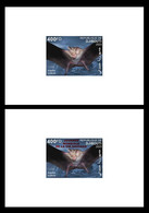 DJIBOUTI 2023 - DELUXE PROOF (REG & OVERPRINT) - BATS BAT CHAUVE-SOURIS CHAUVES - PANDEMIC COVID-19 CORONAVIRUS - MNH - Bats