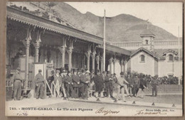 CPA MONACO - MONTE CARLO - Le Tir Aux Pigeons - SUPERBE PLAN ANIMATION Carabines Fusils 1904 - Monte-Carlo