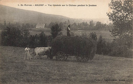 Arleuf * Vue Générale Sur Le Château Pendant La Fenaison * Agriculture Attelage Boeufs - Sonstige & Ohne Zuordnung