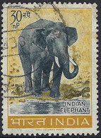 INDIA 1963 QEII 30np Slate & Yellow-Ochre, Wildlife Preservation-India Elephant SG474 FU - Oblitérés