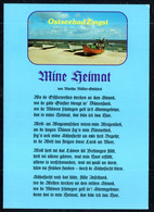 G1940 - TOP Zingst Liedkarte - Verlag Bild Und Heimat Reichenbach Qualitätskarte - Zingst