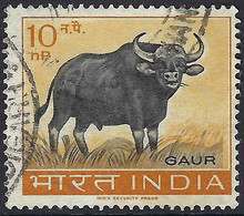 INDIA 1963 QEII 10np Black & Yellow-Orange, Wildlife Preservation-Gaur SG473 FU - Used Stamps