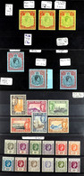 COMMONWEALTH KGVI MINT RANGES S.T.C. Â£2750+ On Stock Cards, With Aden, Bahamas, Bermuda, Cook Is, Cayman Is, Falklands, - Andere & Zonder Classificatie