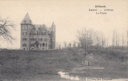 Dilbeek - Kasteel - Château - Dilbeek