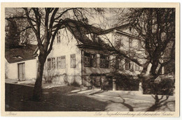 Jena - Inspector's House Of The Botanical Gardens With Gingko Biloba - Heilpflanzen