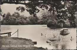 The Lake, Dunorlan Park, Tunbridge Wells, Kent, 1966 - Shoesmith & Etheridge RP Postcard - Tunbridge Wells