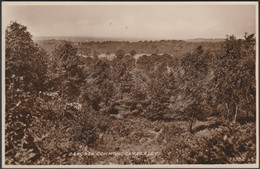 Barossa Common, Camberley, Surrey, C.1940 - RP Postcard - Surrey