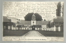 ***  HALLOY  ***  -  La Cour De La Ferme Du Château De Halloy  -  Zie / Voir Scan's - Ciney