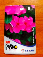 Aruba - Primo (Setar) - Flower - Magdalena - Aruba