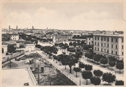 Cartolina - Postcard /  Viaggiata - Sent  /  San Severo - Viale Stazione. ( Gran Formato ) - San Severo