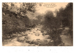 SPA - Vallée De La Hoëgne - L'arbre Pétrifié - FELDPOSTKARTE 1916 - Avec Cachet Militaire - - Spa