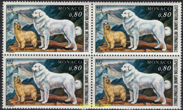 697349 MNH MONACO 1977 EXPOSICION CANINA INTERNACIONAL - Andere & Zonder Classificatie