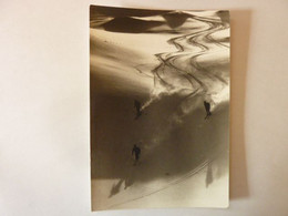 Ski En Poudreuse - Cliché Pierre Tarriaz - Sports D'hiver
