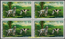 697346 MNH MONACO 1979 EXPOSICION CANINA INTERNACIONAL - Sonstige & Ohne Zuordnung