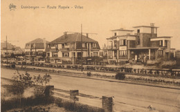 DUINBERGEN    ROUTE ROYALE   VILLAS     2 SCANS - Knokke