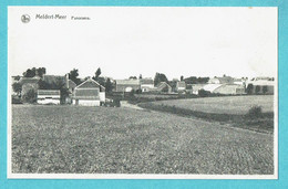 * Meldert - Meer (Hoegaarden - Vlaams Brabant) * (Nels, Edition Maison Cloets) Panorama, Vue Générale, Old, Rare - Hoegaarden