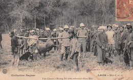 LAOS - Une Chasse Au Sanglier à Muong Saï Avec Rabatteurs Khas Hoc - Collection Raquez Série C N'25 - Voyagé (2 Scans) - Laos