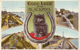 Postcard Good Luck From Blackpool [ Lucky Black Cat ] PU 1949 My Ref B14716 - Blackpool
