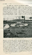 La Nature N° 2171 - Le Jardin Des Serpents De Butantan (Brésil) Par Boyer, Les Grandes Usines Métallurgiques De Witkowit - Cultural