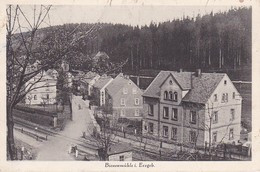 AK Bienenmühle I. Erzgebirge   (39241) - Rechenberg-Bienenmühle