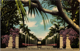 Florida Hialeah Race Course Entrance To The Clubhouse Curteich - Miami