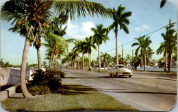 Florida Fort Lauderdale Las Olas Boulevard - Fort Lauderdale