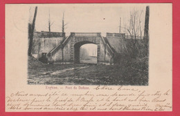 Enghien - Pont Du Dodane -1900 ( Voir Verso ) - Edingen