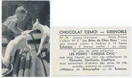 Photographie D''un Enfant Et De Jeunes Chevreaux Distribué Par Le Chocolat CEMOI De Grenoble Image N° 78 De L'album N° 8 - Chocolat