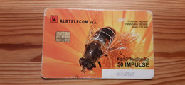 Phonecard Albania - Insect, Bee - Albanië