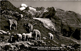 Grimsel-Passhöhe - Galenstock, Rhonegletscher U. Furkastrasse (07527) - Lens