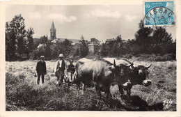 12-LAISSAC-TRAVAUX DES CHAMPS - Autres & Non Classés