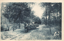 Ronce Les Bains * Tram Forestier * Attelage * Transport De Bois - Autres & Non Classés