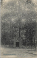 Environs Du Grez-Doiceau   *  Un Coin Du Bois De Beausart - Graven