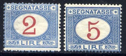 1903 SEGNATASSE 2L. + 5L. N. 29/30 NUOVI* LEGGERISSIMA TRACCIA DI LINGUELLA SPLENDIDI - MVLH EXTRA FINE - Postage Due