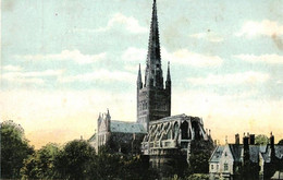 Norwich The Cathedral 1900s Postcard. Published F. Frankel & Co, London - Norwich