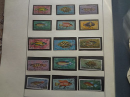 1967 Burundi	Fishes (AL6) - Gebruikt