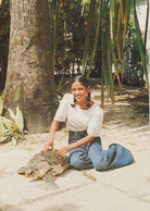 GUADELOUPE - TARTARUGA / TESTUGGINE / TORTUGA / TURTLE / TORTUE - 1980 - Schildpadden