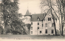 Vignoux Sous Les Aix * Le Château Du Bois Rogneux - Other & Unclassified