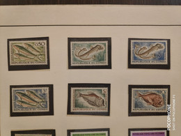 1964 Congo Fishes (AL6) - Unused Stamps