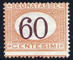 1924 SEGNATASSE 60 CENT. N.33 NUOVO (*) SENZA GOMMA - UNUSED NO GUM - Portomarken