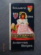 SOUVENIR DES ARDENNES BELGES  10   CP  / PK    15  X   9  CM - Colecciones Y Lotes