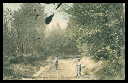 * AMOUGIES - Entrée Du Bois De L'Enclus - Animée - Colorisée - Edit. BAUWENS HERMAN - 1910 - Kluisbergen