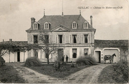 CPA 17 OZILLAC CHATEAU DU MAINE AUX CERFS RARE BELLE CARTE !! - Other & Unclassified