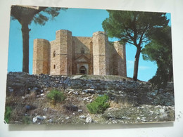 Cartolina Viaggiata "ANDRIA Castel Del Monte" 1973 - Andria