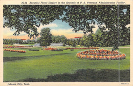 ETATS-UNIS - Tennessee - Johnson City - Beautiful Floral Display In The Grounds Of US Veteran's - Carte Postale Ancienne - Johnson City